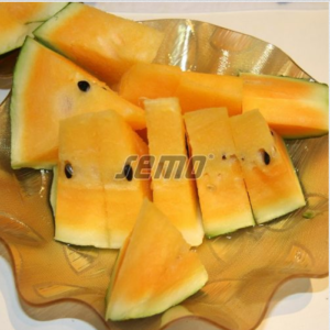 Arbuus-Primaorange-2