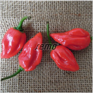 habanero-red